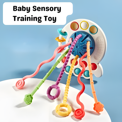 Baby Sensory Training Toy