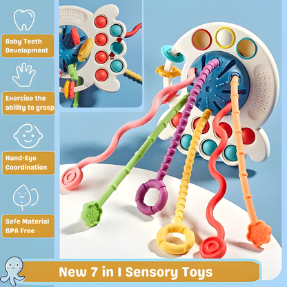 Baby Sensory Training Toy