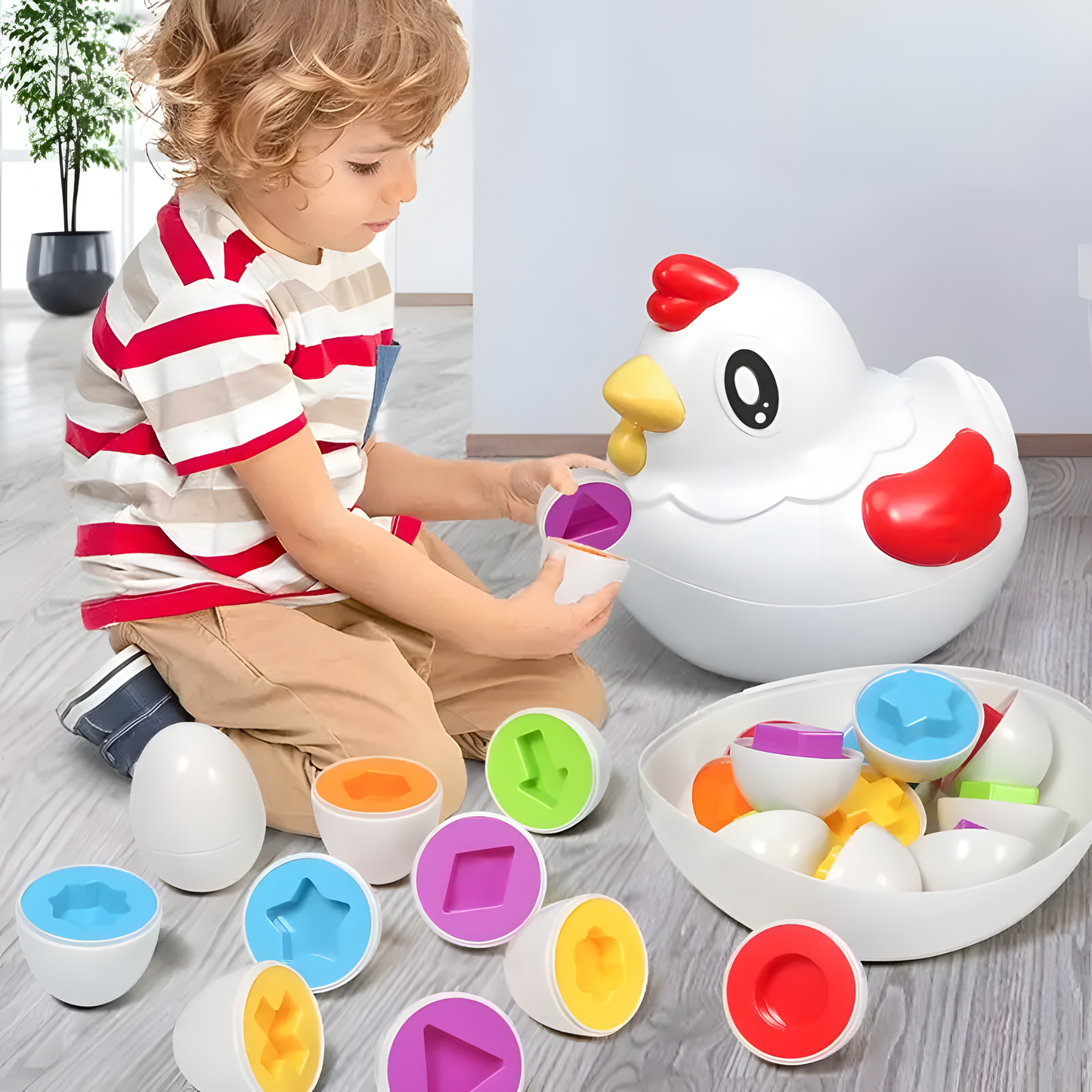 Matching Eggs Toy