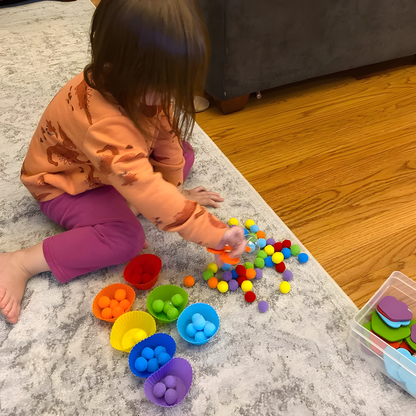 Counting Pompoms Toy